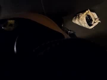 blknoranged33 — 2025-09-10 06:42 blknoranged33 — 2025-09-10 06:42